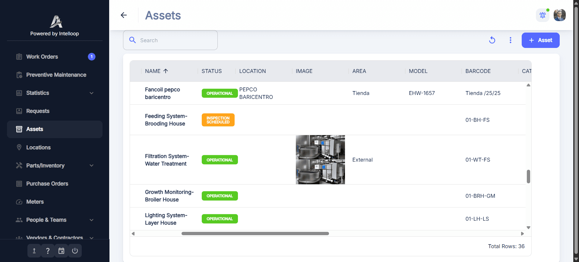 Asset Management